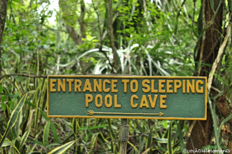Entrance to The Sleeping Cave sign